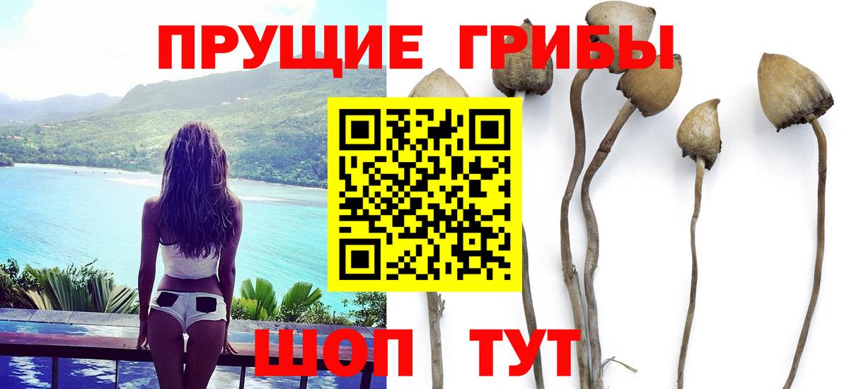Дербент  Галлюциногенные грибы ЛСД  Галлюциногенные грибы GOLDEN TEACHER  Вход с VPN 