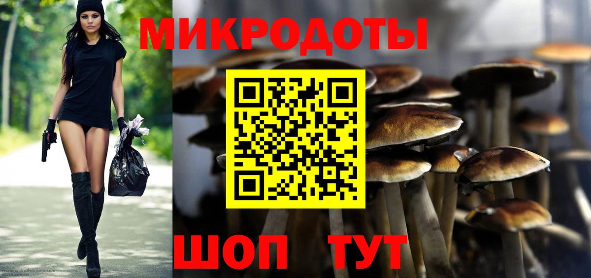Псилоцибиновые грибы мицелий Дербент
